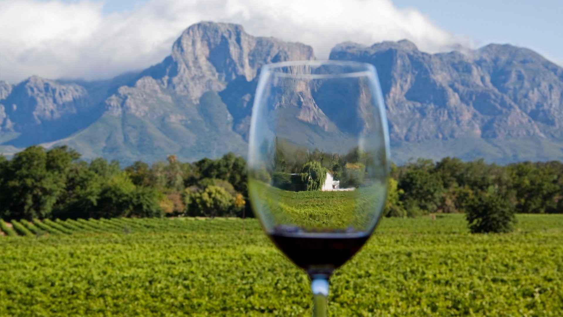 Winelands Tour