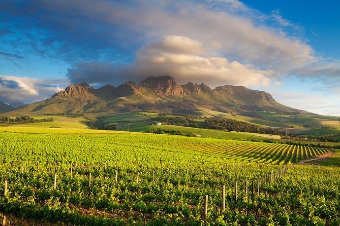 Winelands Tour